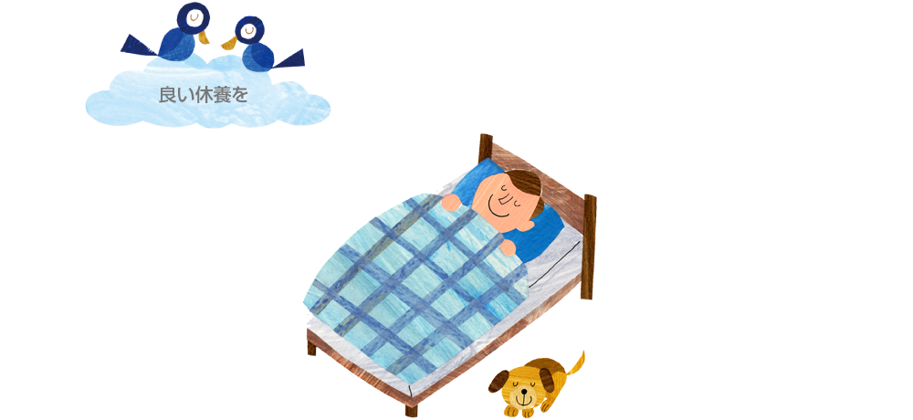 �ɤ����ܤ�