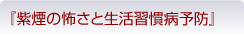 膣羇紫g上綺桁